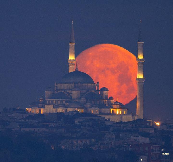 ﷽

“Sen, Rabbinin yoluna hikmetle ve güzel öğütle davet et.” 

(Nahl sûresi, 125)