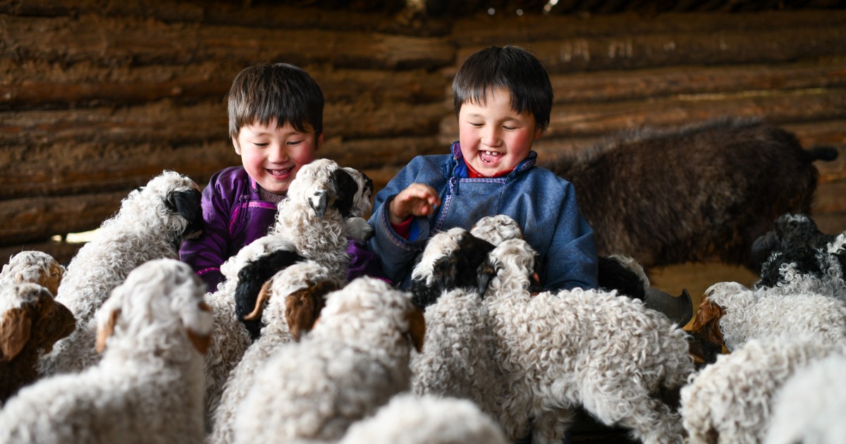 Lasting change brings smiles to everyone's faces. 😊 Just look at these two kids in Mongolia whose family makes their income from the production of wool from their sheep. Bonus that they get to play with them too!
