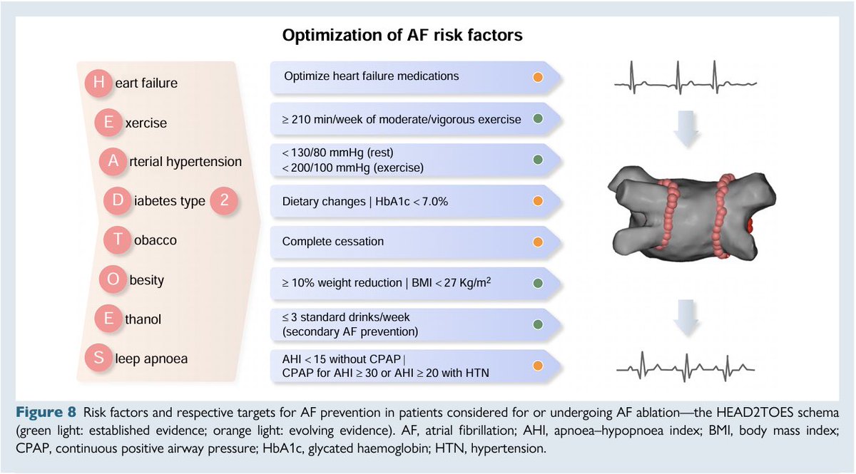 FACTORES DE RIESGO PARA FIBRILACIÓN AURICULAR

Aquellos pacientes con indicación de Ablación de #Afib debemos optimiziar estos factores y seguir estas recomendaciones ✍🏽

academic.oup.com/europace/artic…