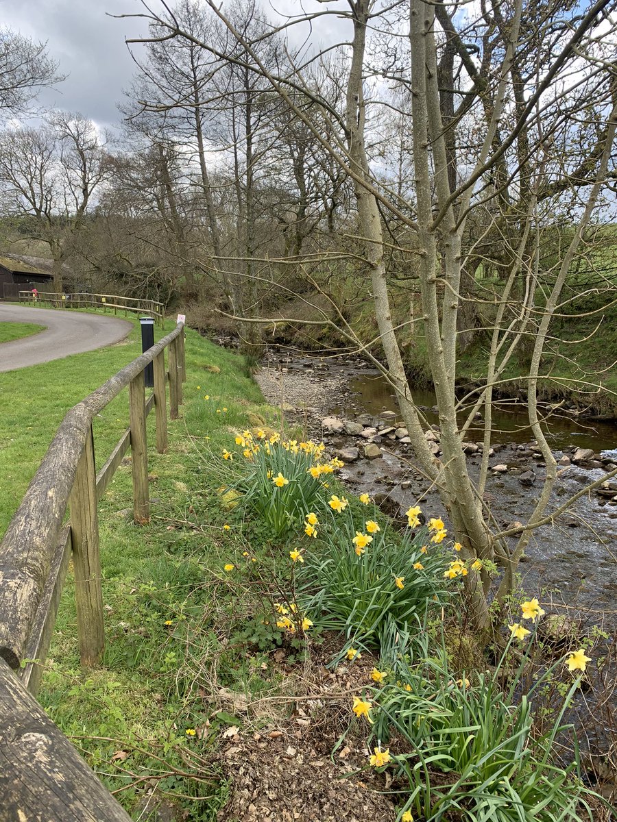 To start this week’s tour we have returned to where we started our journey working as caravan wardens @candmclub Troutbeck Head. Such a beautiful peaceful site.