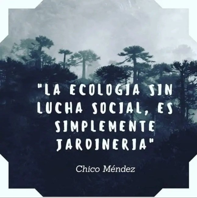 Vino sustanciosa la sección opinión y análisis ✅️ Roberto Malaver. 100 libros fundamentales 📖 ✅️ Yusdely Espinoza: educación necesaria y siembra de agua 🏞 ✅️ Éder Peña y Fredy Muñoz Altamiranda: la lucha por un planeta para todas las especies lainventadera.com/category/opini…