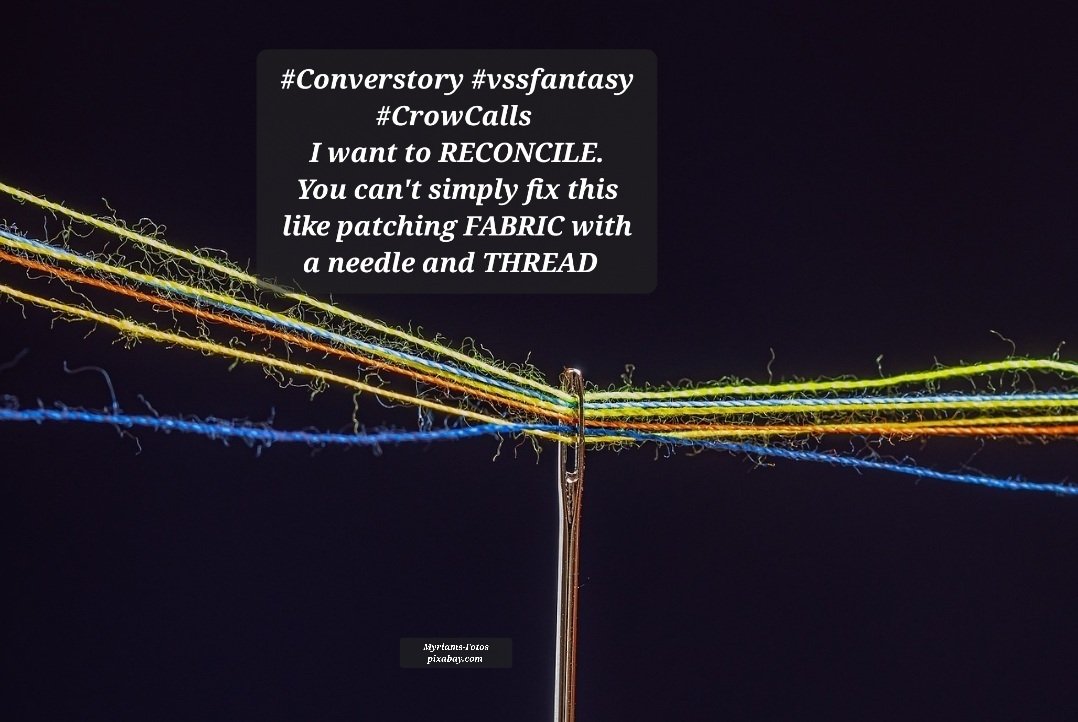 #Converstory #vssfantasy #CrowCalls 
I want to RECONCILE.
You can't simply fix this like patching FABRIC with a needle and THREAD 
Myriams-Fotos pixabay.com