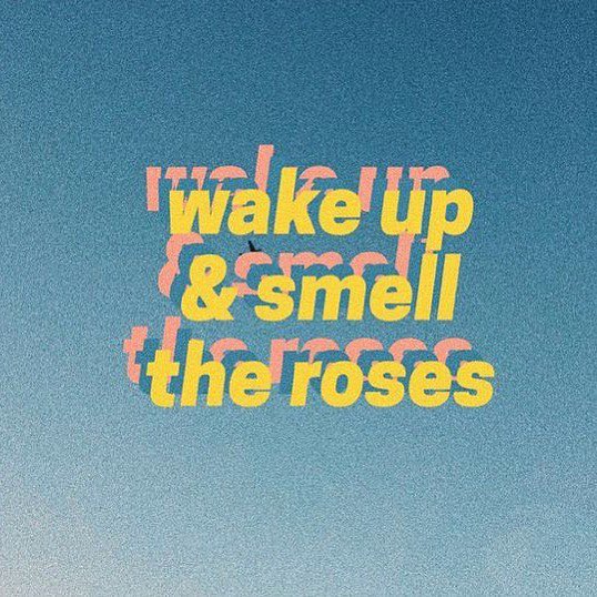 Start your day with a fresh perspective. 
🌹 Wake up and smell the roses!

#MorningMotivation #FreshStart #Roses #FlowerPower #MorningVibes #NatureLovers  #Positivity #Inspirational #NewDay #BreatheInNature #FloralInspiration #LifeInFullBloom #Saturday #Saturdaisy