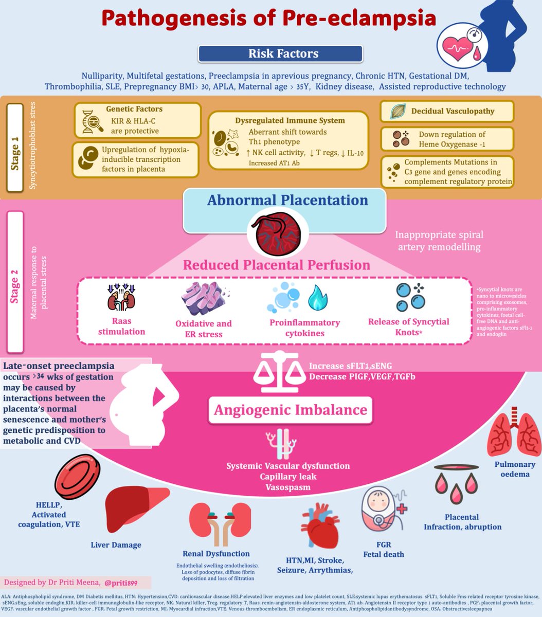 💥Pre eclampsia: one of the important cause of PrAKI and maternal Mortality. 💠Incidence range 2-10% of Pregnancies worldwide ⚡️Let's revise with my New Infographics 👇👇👇 #pregnancy and kidney disorders @ISNeducation @womeninnephro @simonkigondu @OBGynConnect