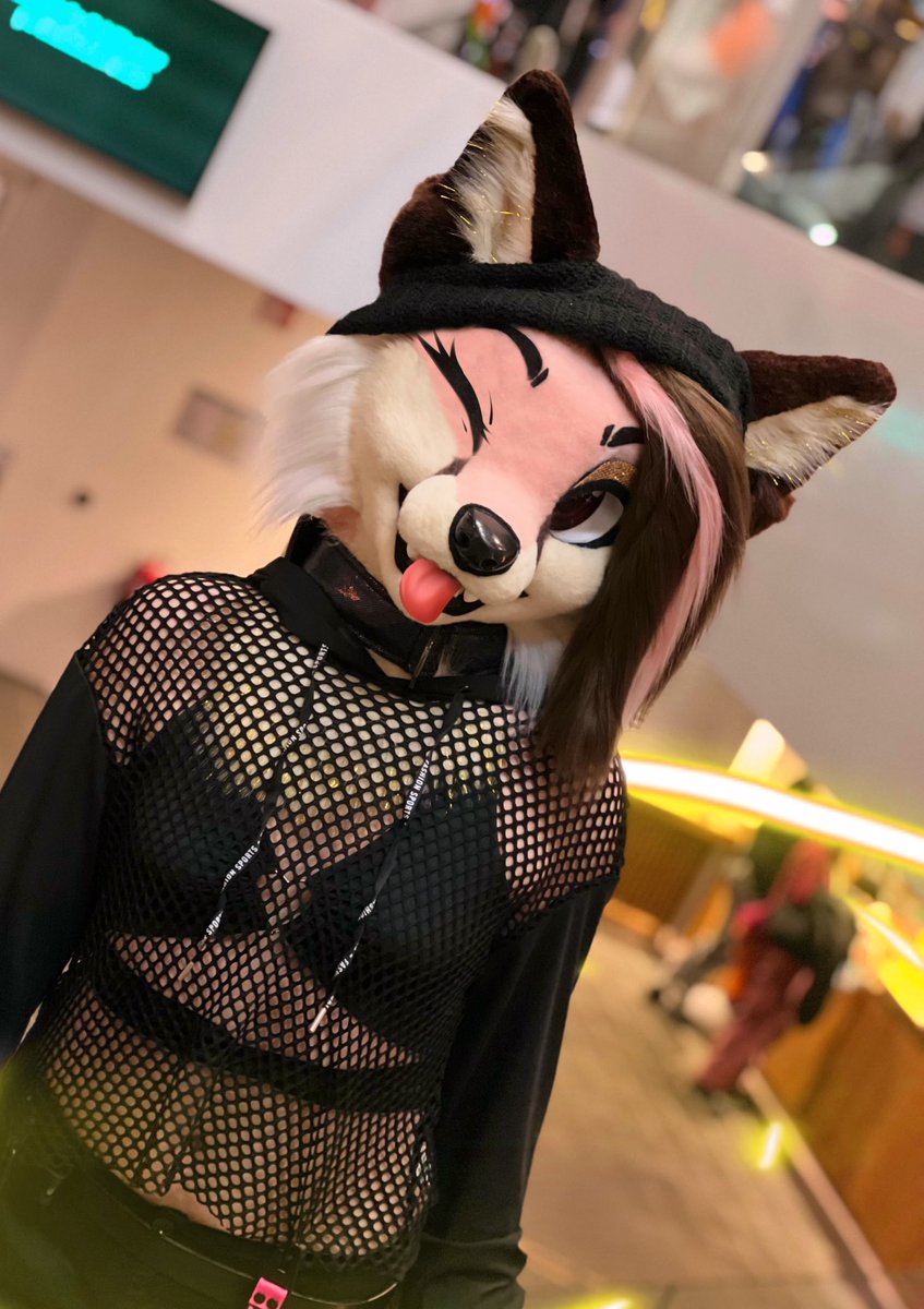 FuzzyVixen's tweet photo. Cheeky 🌸🐾 https://t.co/EKAl02A76U