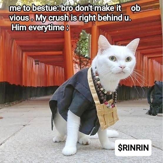 rinrin_on_sol's tweet photo. Prepare to enter the realm of $Rinrin, where the whimsical charm of memes meets the unstoppable force of decentralized finance! Inspired by the legendary Rinrin Shrine Cat Pokémon, this meme brings laughter and excitement to new heights. 
$RINRIN is a gem. https://t.co/6o15t9CCnA