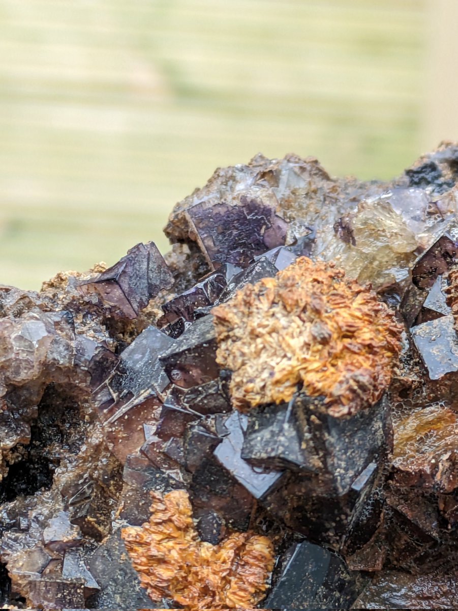 Spent my day cleaning up my pet rock