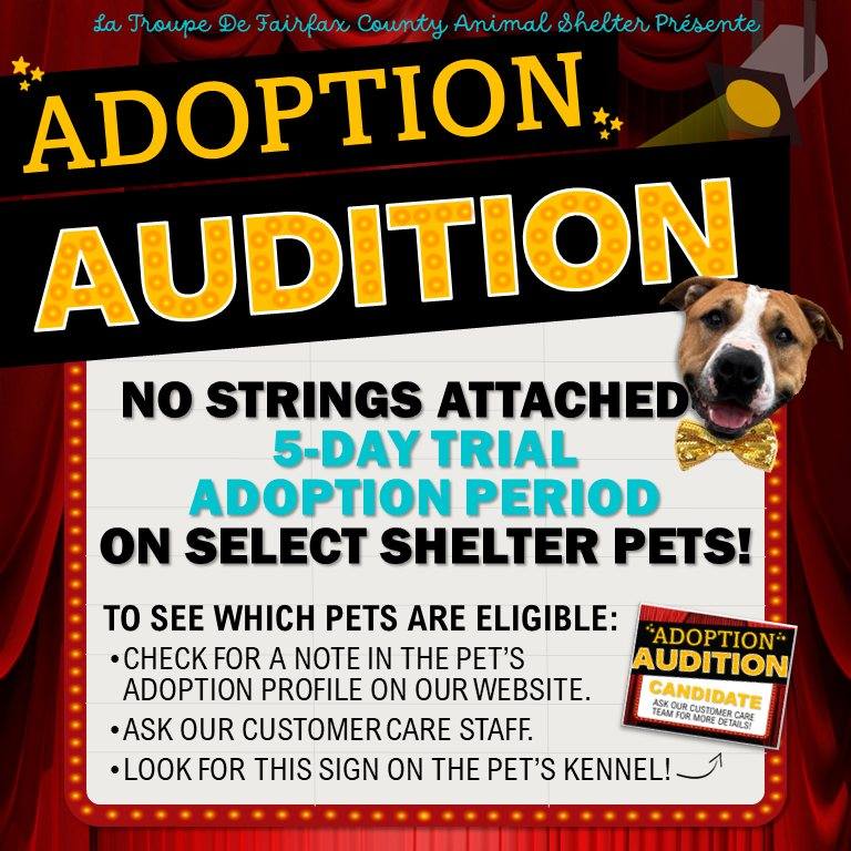 #ICYMI @fairfaxanimals introduced a new program: Adoption Audition, a no-strings-attached, five-day adoption trial on select shelter pets 🐶

For more information on Adoption Auditions, visit bit.ly/3vMiCg1.
