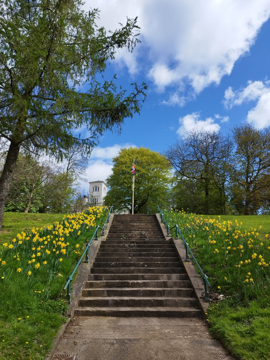 #StaircaseSaturday 
Avenham Park