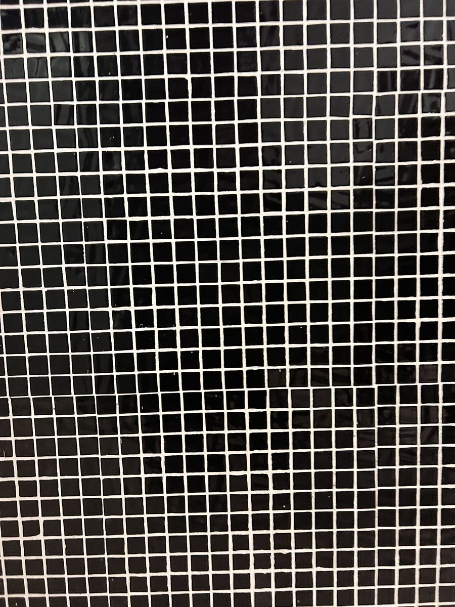 geosofitia's tweet photo. Que me decís de este mosaico que encontramos en la uni 🤯 #didgeometria3E 
#teselacionesuma3E https://t.co/9GflXpLlOe