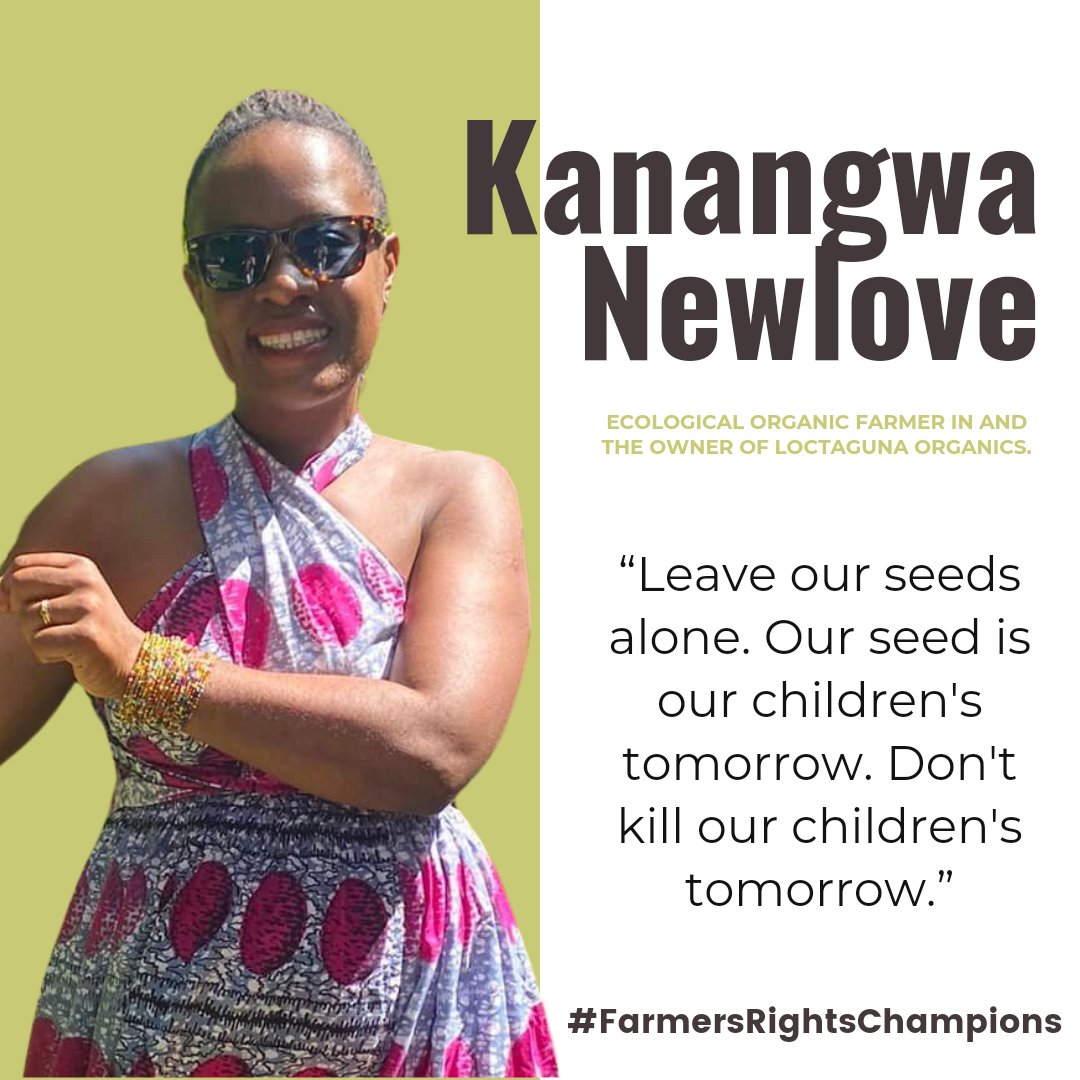 @KanangwaNewlove @Afsafrica @GRAIN_org @OxfamInZam @UNBiodiversity @mitchnan @MutintaeNketani @ActionAidZambia @agrawatch @ZambiaMGEE @agcconnect @mizuecocare @ZGFZambia @ZCCN_Official @caritaszambia @UNYouthAffairs #FarmersRightsChampions spotlight: Meet Kanangwa Newlove, CEO of Loctaguna Organics, and a champion for sustainable and organic food systems. #SeedIsLife Read more: zambianagroecology.org/championing-su…