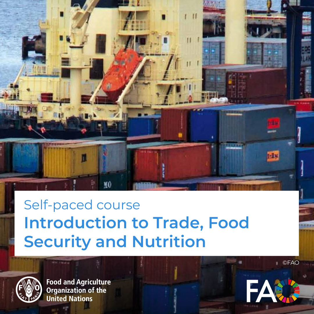 🎓 FREE self-paced course! Introduction to Trade, Food Safety and Nutrition🍉🍵 This course aims at assessing the challenges and opportunities placed by greater openness to trade for food security and nutrition Enroll! ➡️ ow.ly/Zplr50QMyGq @FAOCampus