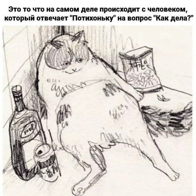 🐸жабья принцесса👑 (@kxiq7u7oc8nsgnc) on Twitter photo 