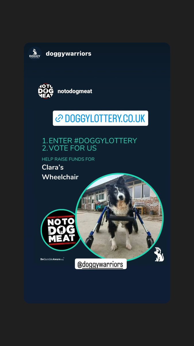 Hi everyone we are one of the 4 charity this month on doggy lottery please Enter and help us doggylottery.co.uk/the-current-ch…