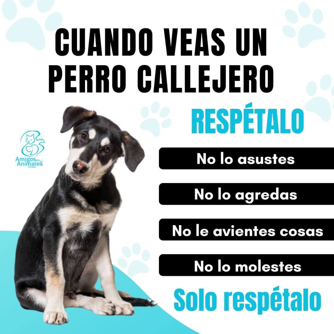 gllgina1's tweet photo. Si no te gustan NO los lastimes https://t.co/CNf2CLePiA