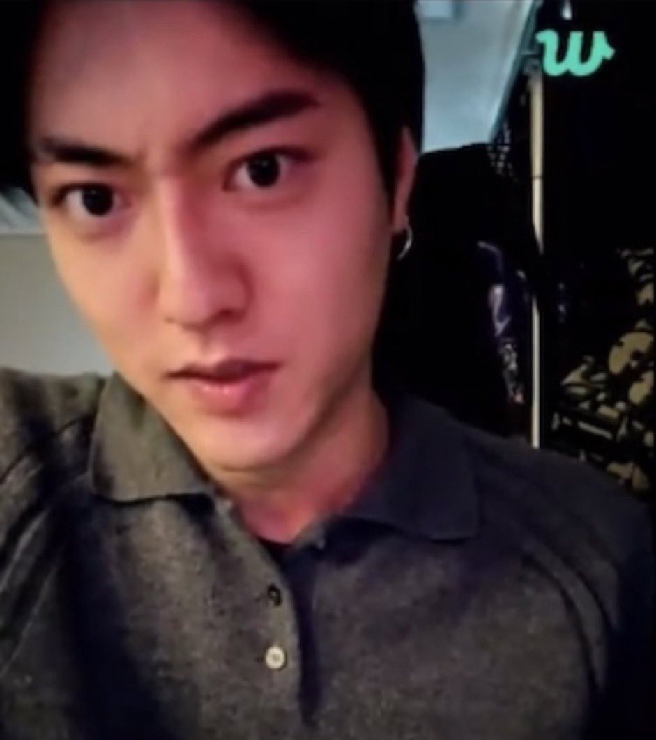 마도조사가좋다고말해