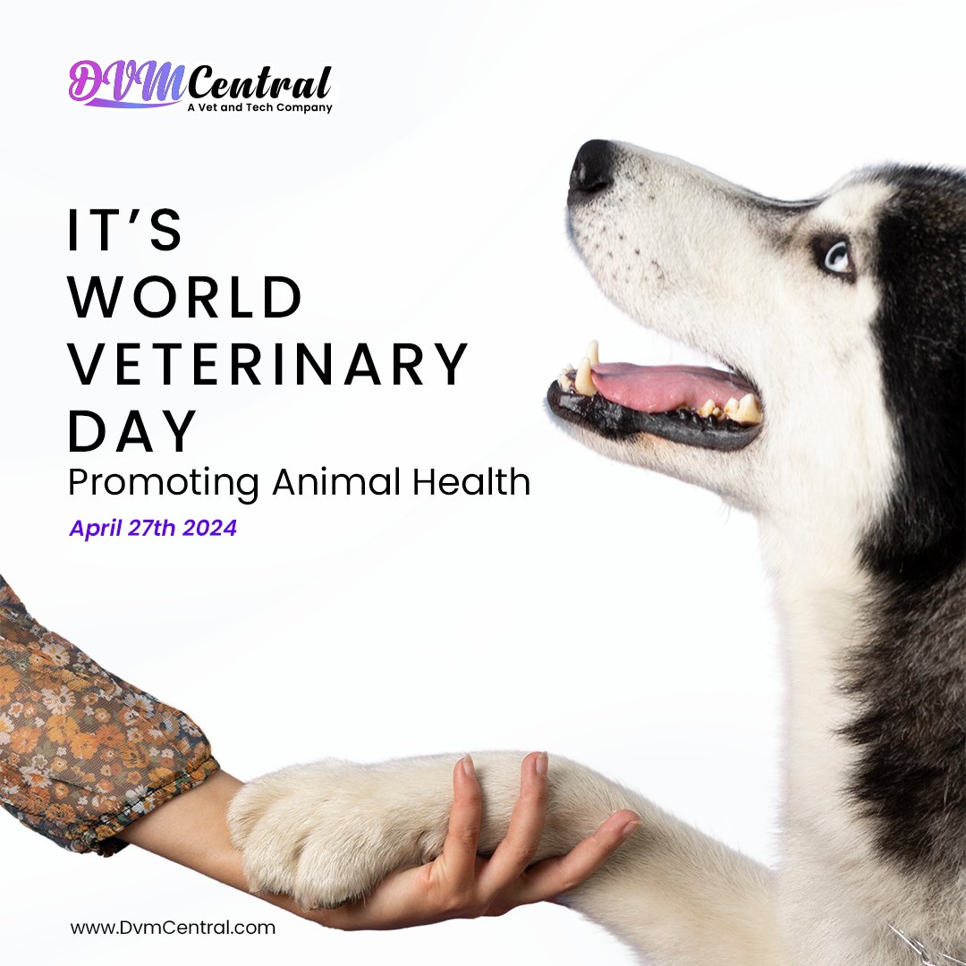 Happy World Veterinary Day from DVM Central. 🩺 Let's salute the tireless dedication of Vets WorldWide in caring for our beloved pets.🐾 
#happyworldveterinaryday #vetcare #vetstudent #Vettech #DVM #DVMcentral #vetshop #veteducation #vetUSA #usa #veterinaryeducation #Vetowners