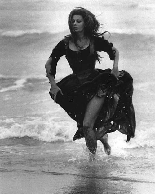 Oooh Sophia Loren! (dans La Belle et le Cavalier, un film de Francesco Rosi, 1967)