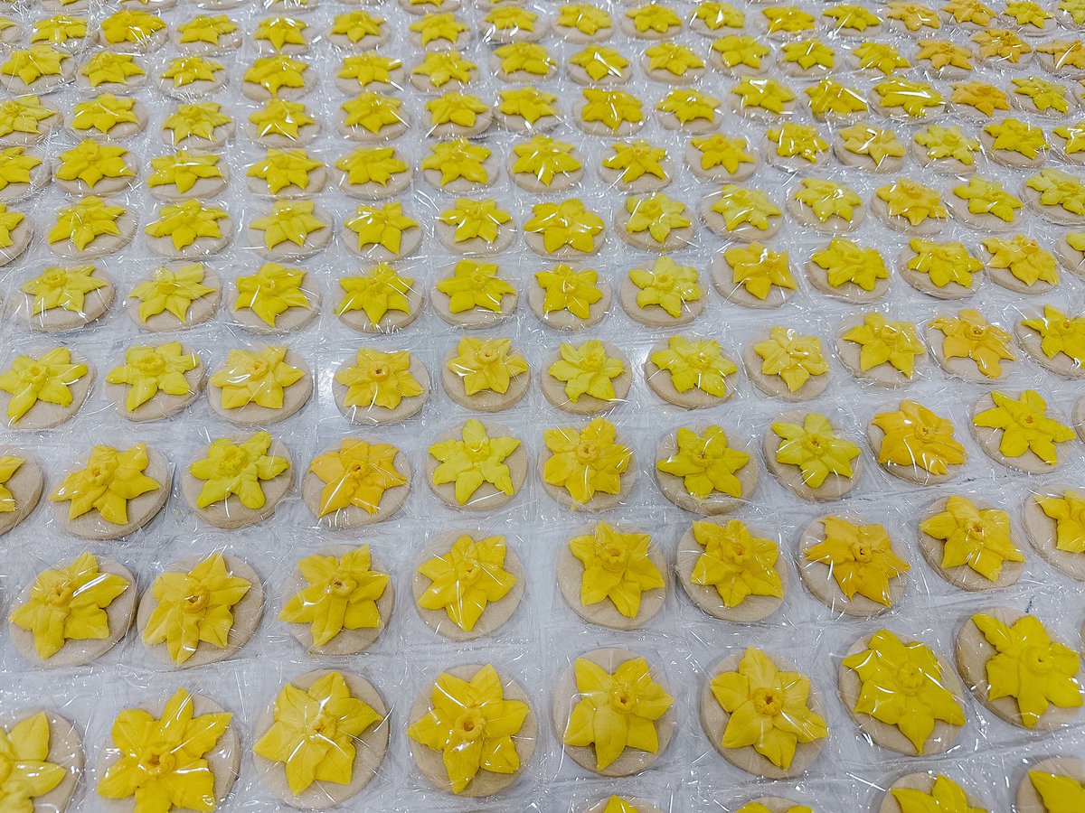 Anna Blefare tweet media