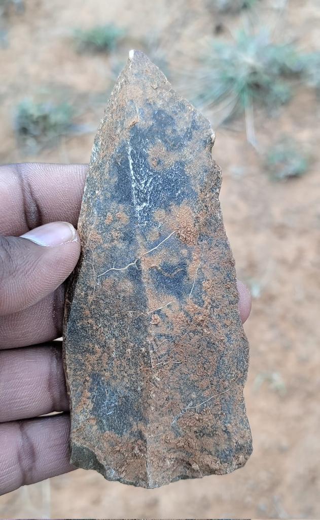 Belated #fieldworkfriday and non #flintfriday

This cool quartzite blade based assemblage from Andhra Pradesh, India.

Dilemma is, whether these assemblages are part of UP or IUP or  another MP variant in Indian context.

#HumanOrigins #SouthAsia