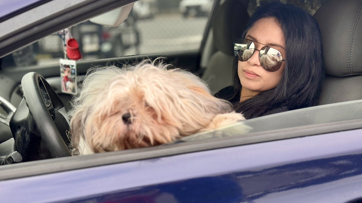 🐾A lil sleepy but the doggies are here! The Microchip clinic hosted by the City of McAllen & @pvastx is underway. We’re here until 12 pm at McAllen City Hall (parking lot). #SpiritOfMcAllen