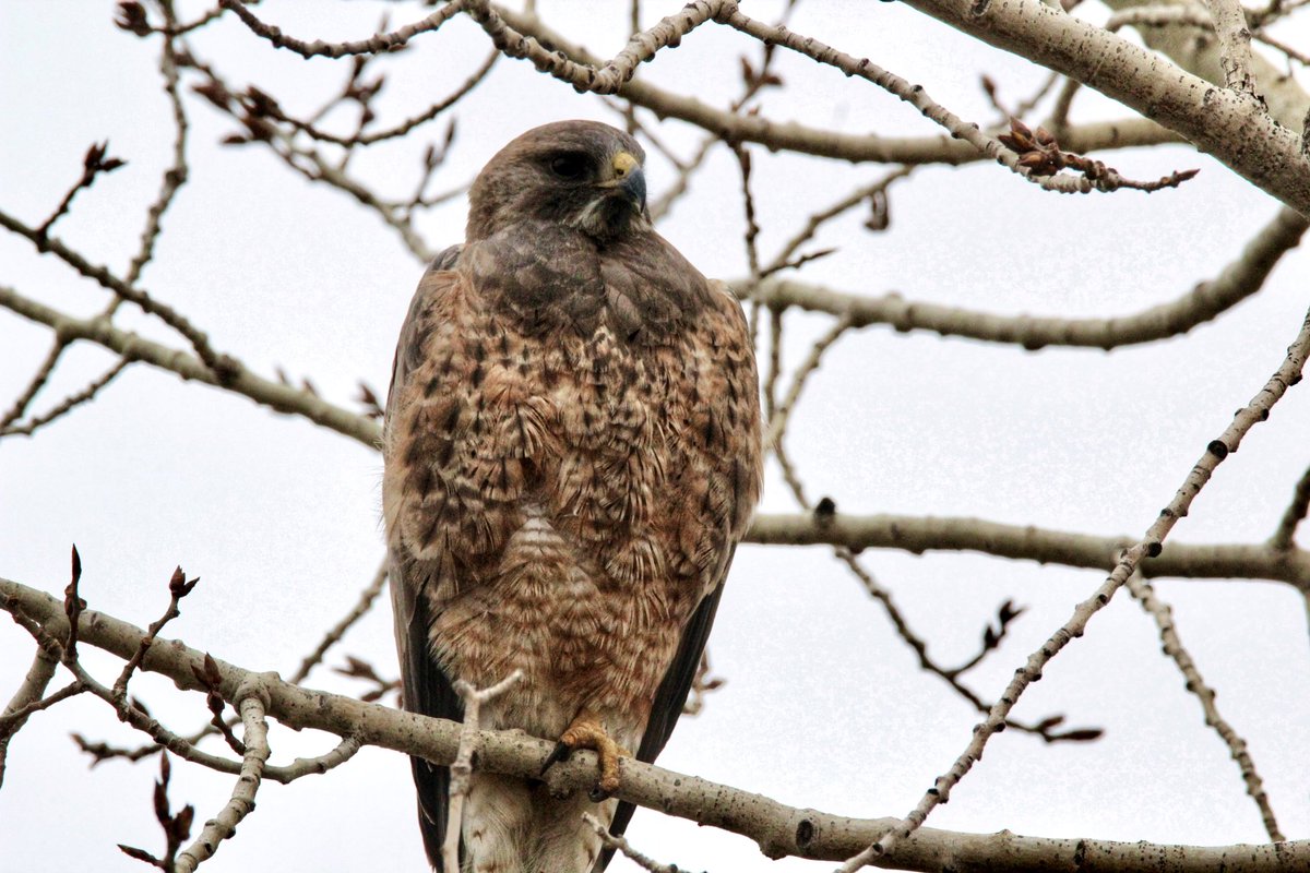 Tyler Dixon tweet media