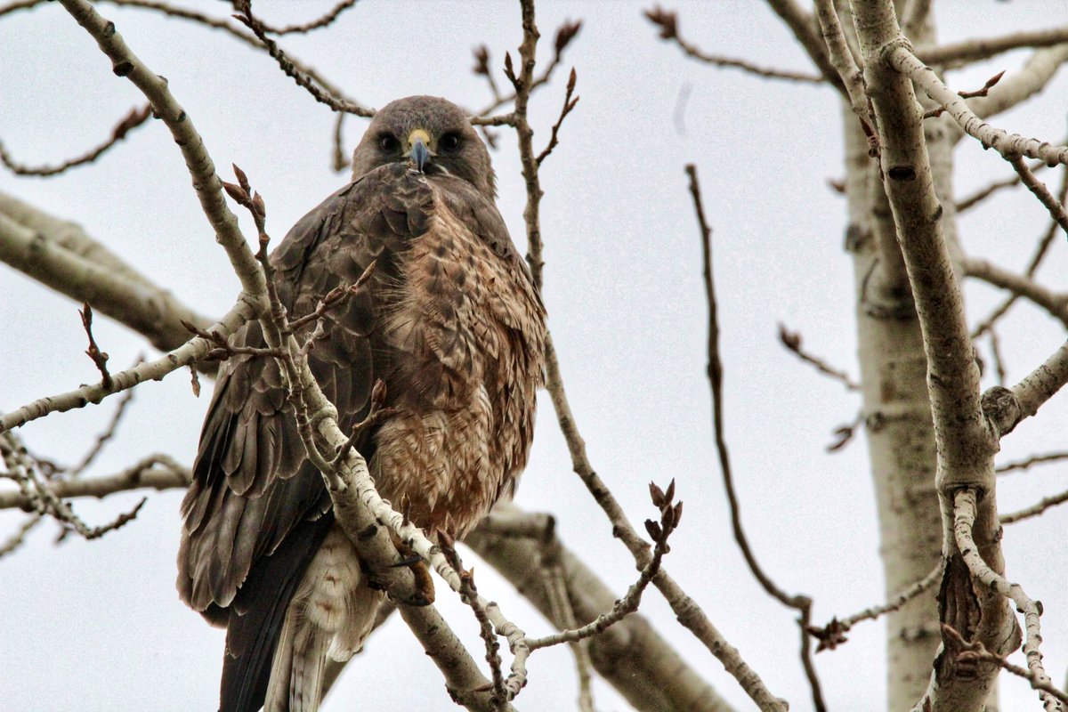 Tyler Dixon tweet media