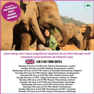 Come and see ‘The Elephant Mother’ and meet Lek in person on her UK 🇬🇧 tour 🐘 Tickets 🎫 available bit.ly/3QlEeXk here.
