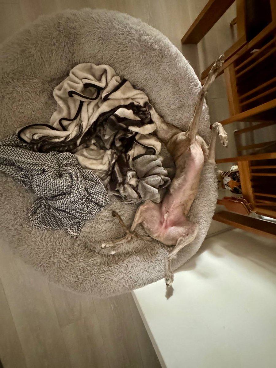 Connor on SQL and Database tweet media