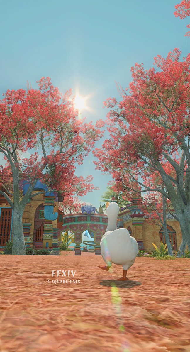 FF14__Ciel's tweet photo. * Yedlihmad *
連休中にリテイナーの荷物整理をしておかなければ…。

#FF14アヒルさんぽ
#FF14風景 https://t.co/6G0VmyuC01