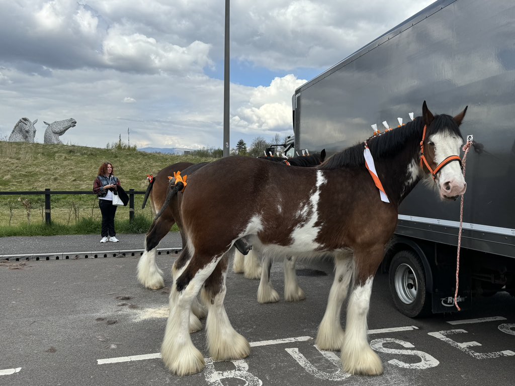 Storytellers, Clydesdales, ice cream & glorious giant Kelpies. Lovely 10th birthday celebration @DiscoverKelpies. Huge gig tonight. Still tickets available… @TravWriters @FalkirkLandC