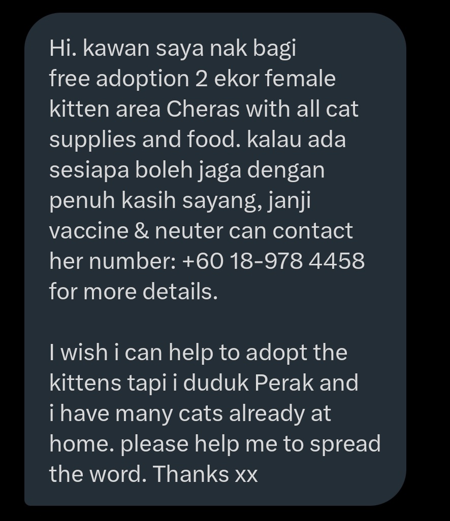 😻KITTENS FOR ADOPTION😻 📍Cheras 2 kittens (F, 2m/o). Free adoption with all cat supplies & food. klu ada sesiapa blh jaga dgn penuh kasih sayang, janji vaccine & neuter can contact her number: +60 18-978 4458 for more details. klu boleh potential adopter take both of them🥹