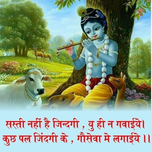 karuna_rajkot's tweet image. सस्ती नहीं है जिन्दगी, यु ही न गवाईये। कुछ पल जिंदगी के, गौसेवा मे लगाईये ।।
#ValueLife #ServeGauMata #EmbraceSeva #CherishMoments #LiveWithPurpose #SpreadCompassion #CelebrateExistence #EmbraceService #FindMeaning #MakeEveryMomentCount