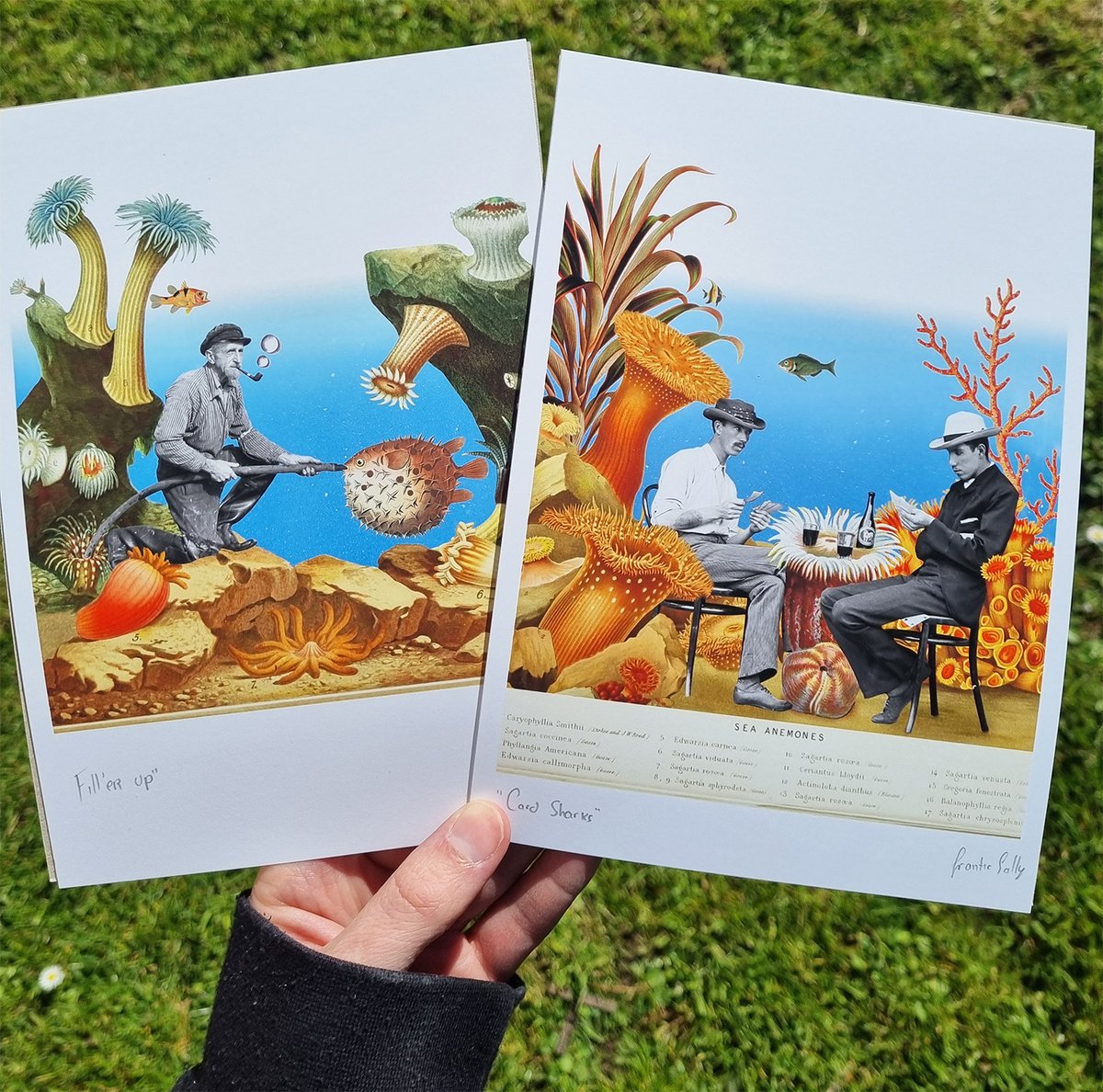 Frantic Sally tweet media