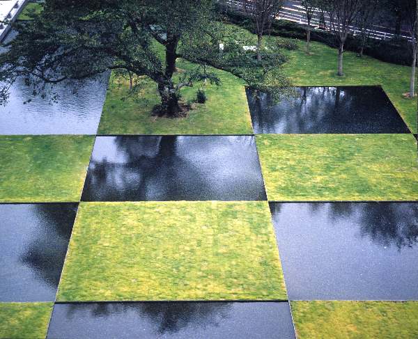 checkerboard water garden #landscapedesign