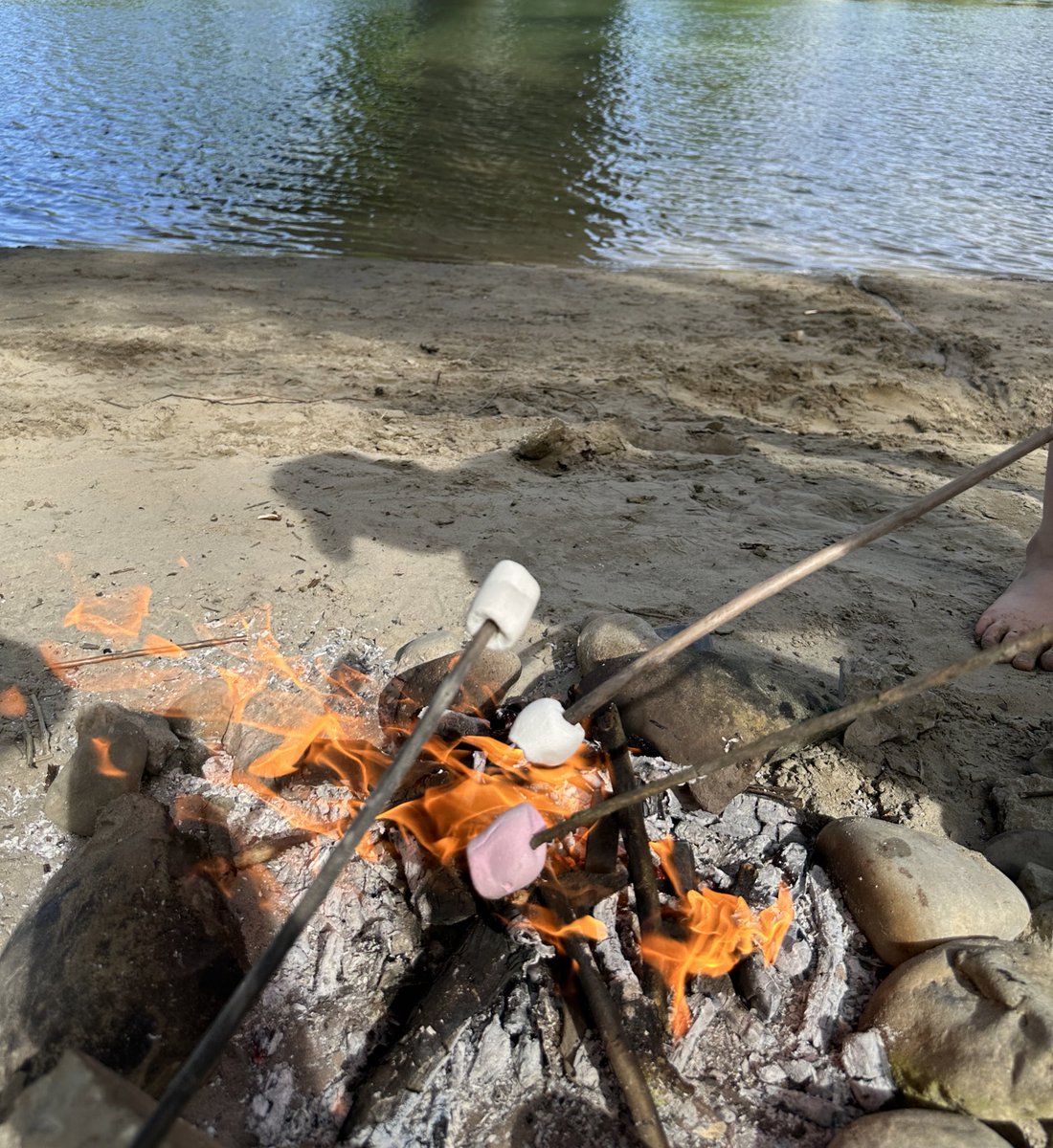 Practical demonstration of the Maillard reaction. 🔥🧪 The kids were all about the taste, not the science behind it 😀 #CookingFun