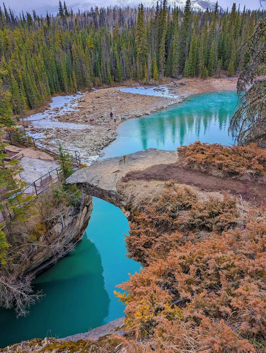 📍📸 Athabasca Falls Jasper National Park 🇨🇦

#AthabascaFalls #JasperNationalPark #CanadianRockies #NaturePhotography #TravelAlberta #ExploreCanada #IcefieldsParkway  #NatureLovers