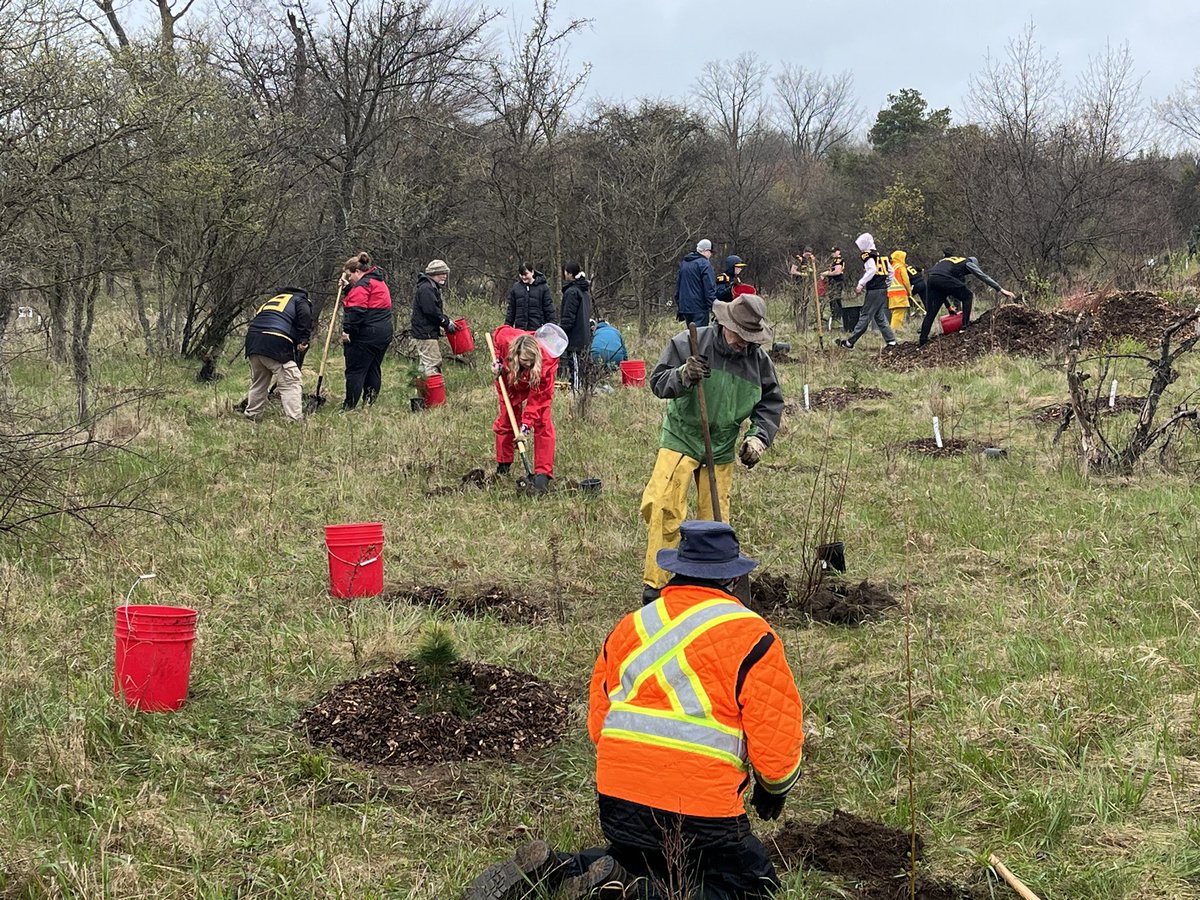 davebeaton4's tweet photo. Hanlon Forest planting happening now.  Lots of great planting happening.  Join in till 2 pm. https://t.co/XkhT36QkuP
