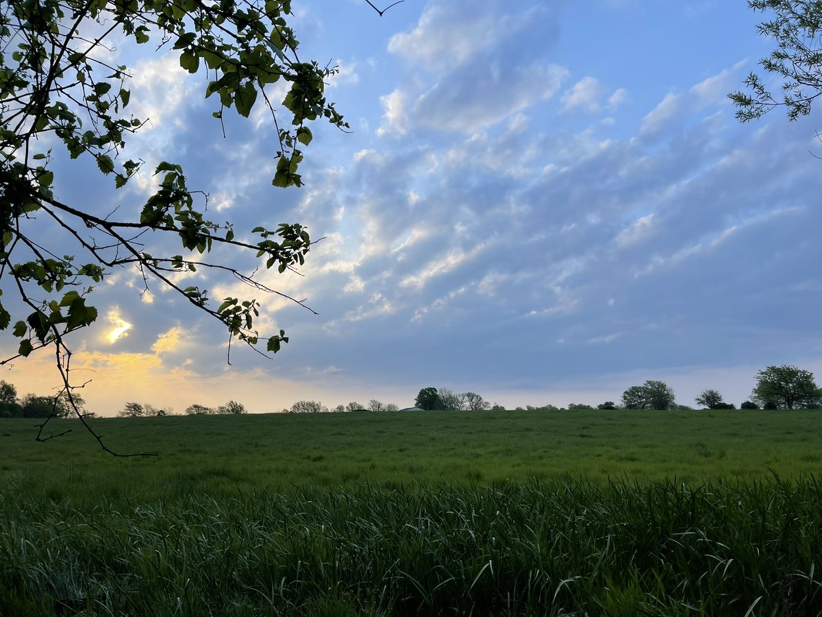 Love our beautiful peaceful Missouri neighborhood! #blessedsaturday #coolneighborhood #hengyanggeese #snappingturtle #sunrise @drdvdus @hengyanggeese