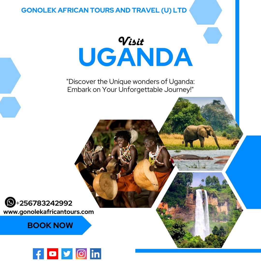 📌 Explore the unique natural wonders of Uganda. 📍 Inquiries and Bookings ☎️+256783242992 🌐 gonolekafricantours.com 📩 gonolekafricantoursandtravel@gmail.com #travelblogger #Gonolektoursug #Exploreuganda #widlifesafari #Africatravel #fypage