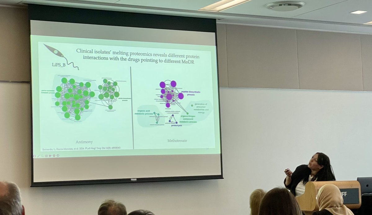 Amazing talk by <a href="/Ana11Vic/">Ana V. Ibarra-Meneses</a> at #CPN2024 #Leishmania #AMR