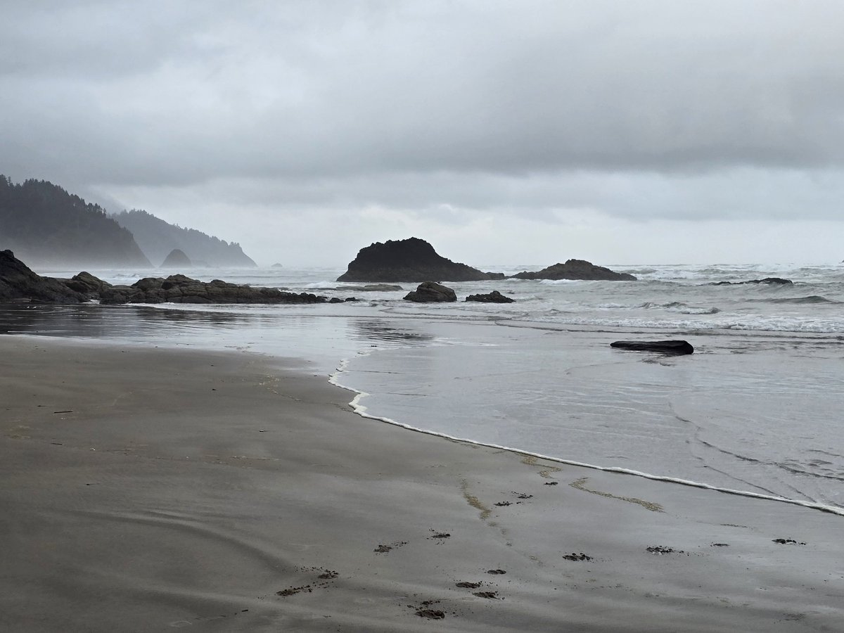_alien_goddess_'s tweet photo. Beautiful day on the Oregon coast https://t.co/exWGIIKrLn