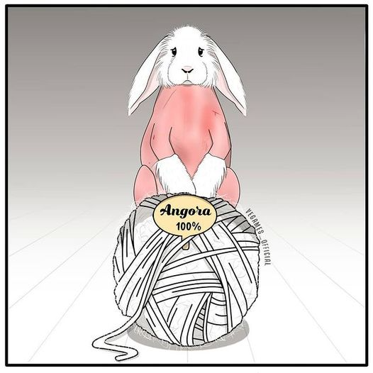PETAUK's tweet photo. How is it STILL LEGAL to rip the fur off live rabbits for angora?

🎨 @VegamesOfficial https://t.co/bPEUQ3Cgfy