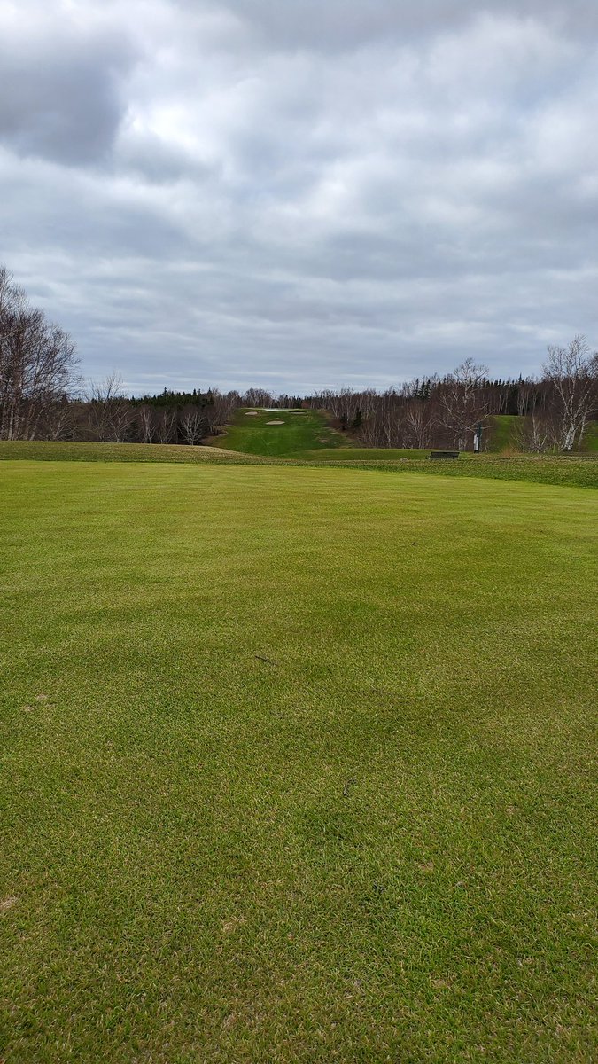 Max Finchem tweet media