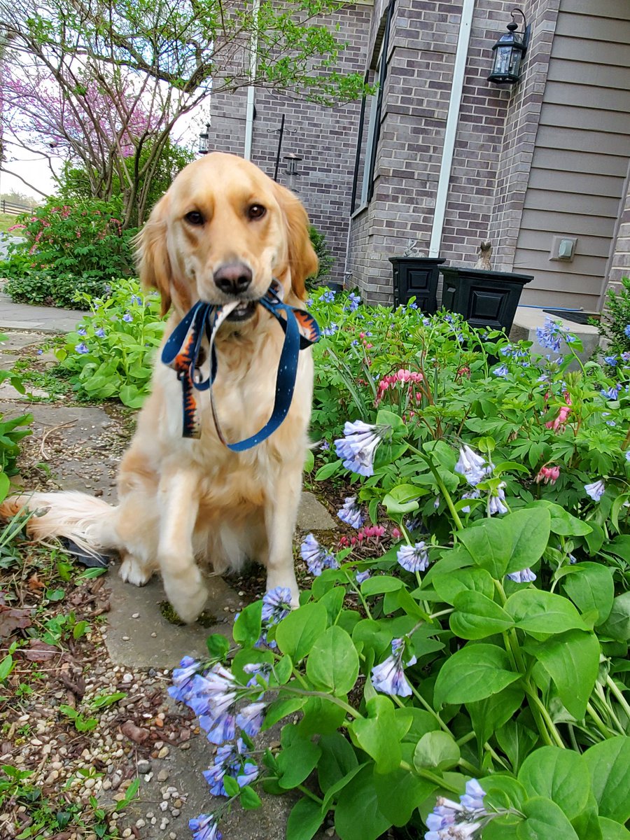 'It's okay I can walk myself.'
#WeekendSmiles