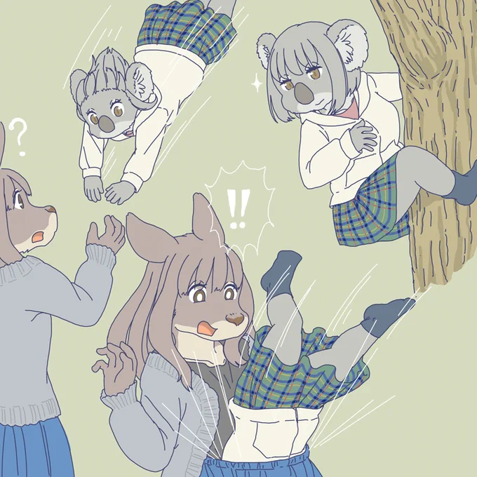 ポケットチャレンジするコアラ 