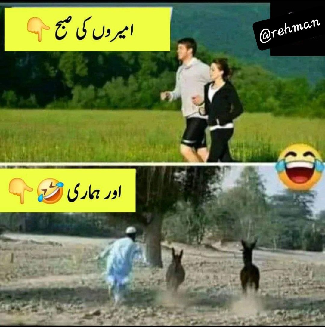 FriendBHAI321's tweet photo. Wah kia baat ha https://t.co/gKYgJK1s8W