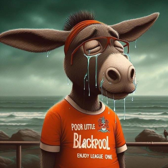 The championship isn't for everyone 

Best cancel those hotel rooms at Wembley 🤣🤣🤣🤣😭

Another season in league 1 and in our shadow where you rightfully belong 😘 

Enjoy sandflickers 👍🏻 #pnefc