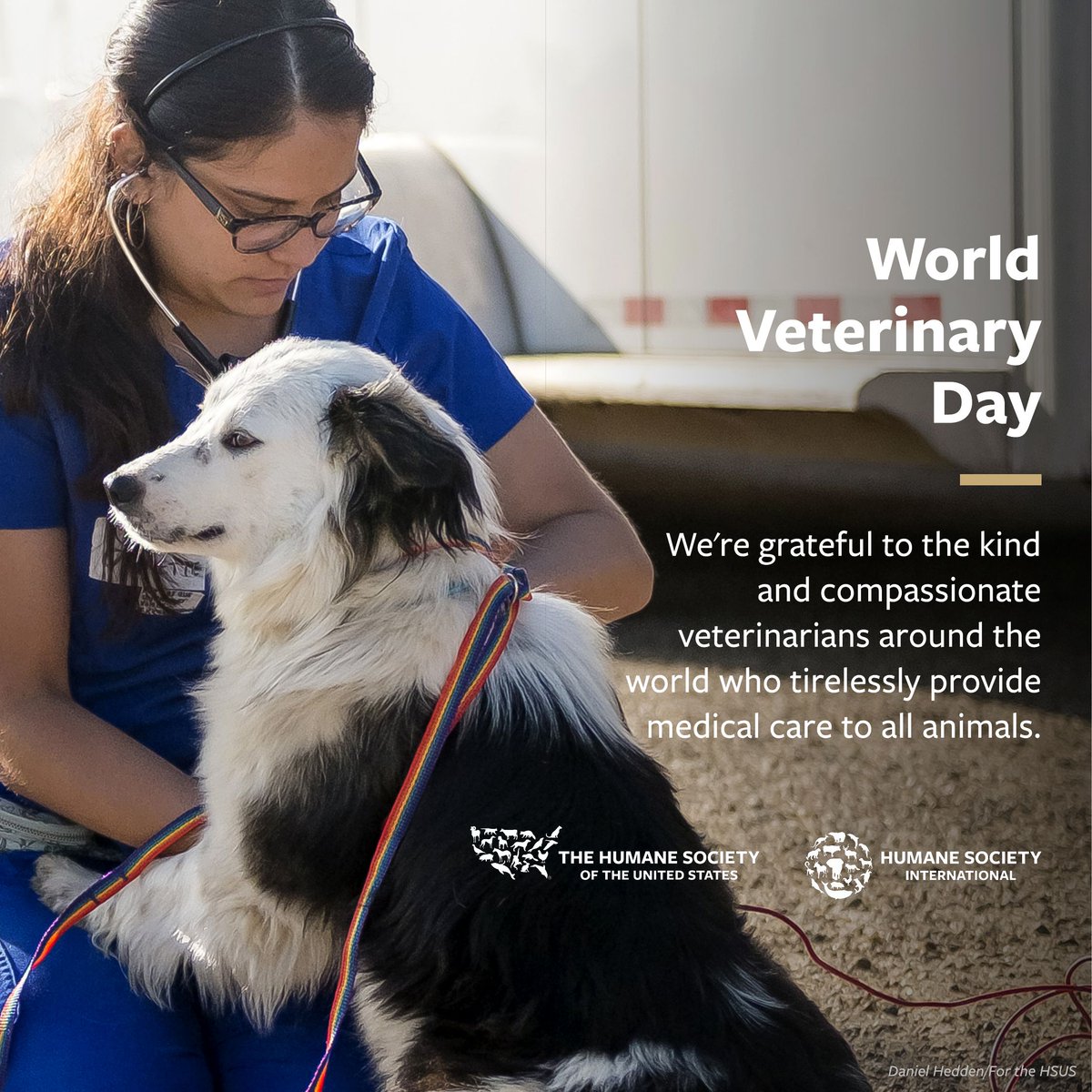 This #WorldVeterinaryDay we want to give a BIG shoutout to all the amazing veterinarians! Your unwavering dedication to caring for animals fills our world with hope and compassion. Thank YOU for being true guardians of all animals—from furry to scaled, from wild to companion!