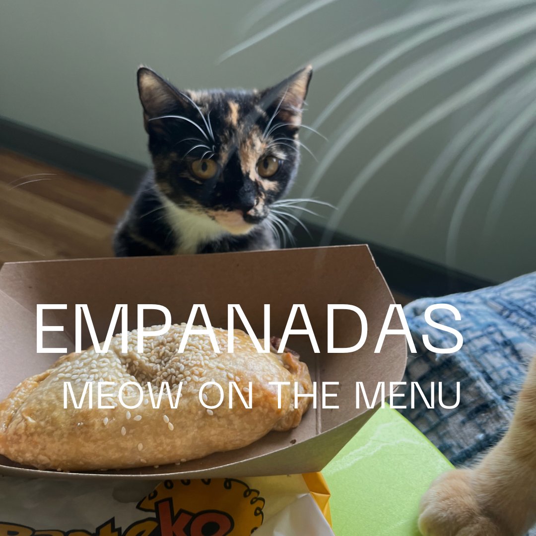 We just added Empanadas so we meow have a yummy savory option on our menu just in time for our 7 Year Celebration tomorrow! Choose from Hawaiian Pizza, Ham, Egg & Cheese or MushroomPoblano. #catcafe #houstoncatcafe #empanadas #adoptdontshop #caturday #houstontx #meow #rescuecat